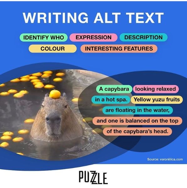 Title: Writing alt text. - Identify Who [w] expression [e] description [d] colour [c] interesting features [i]. a capybara [w] looking relaxed [e] in a hot spa [d]. yellow yuzu fruits [c] are floating in the water [d] and one is balanced on the top of the capybaras head [i]